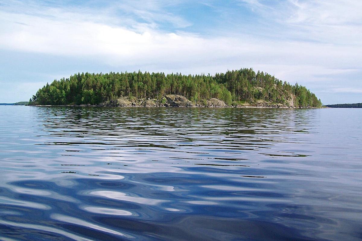 Mokslininkai nuskandino 1500 eglių ežere. Po 3 metų grįžo — gyvybės dugne buvo 10 kartų daugiau